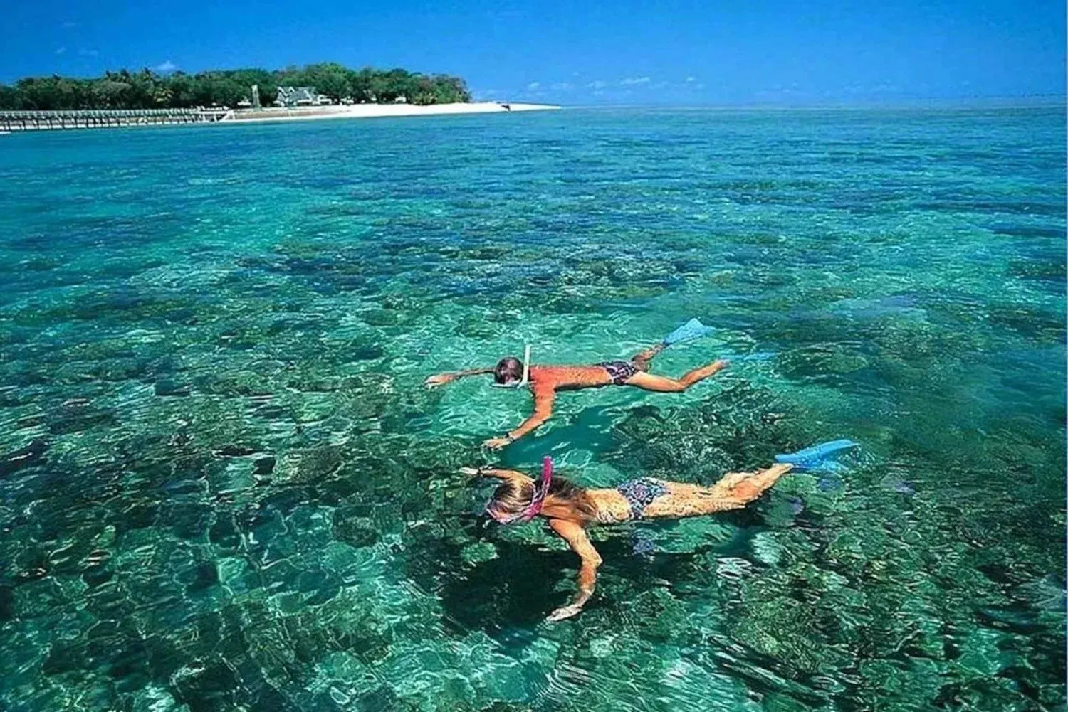 Maldives reef snorkelling