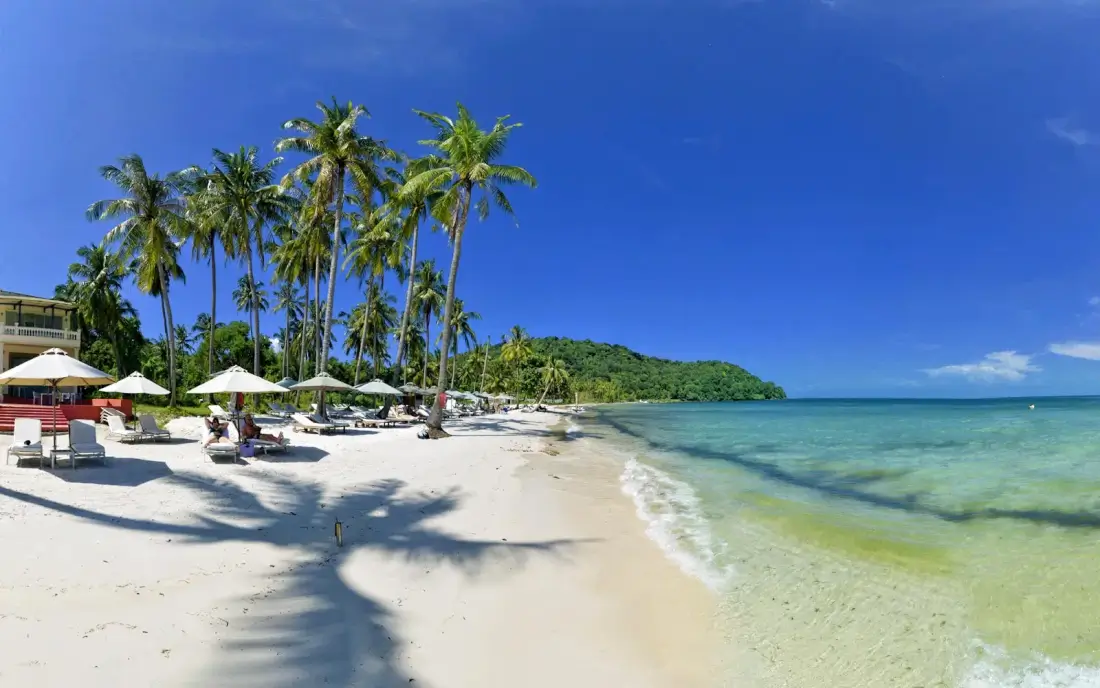 Beach Escapes